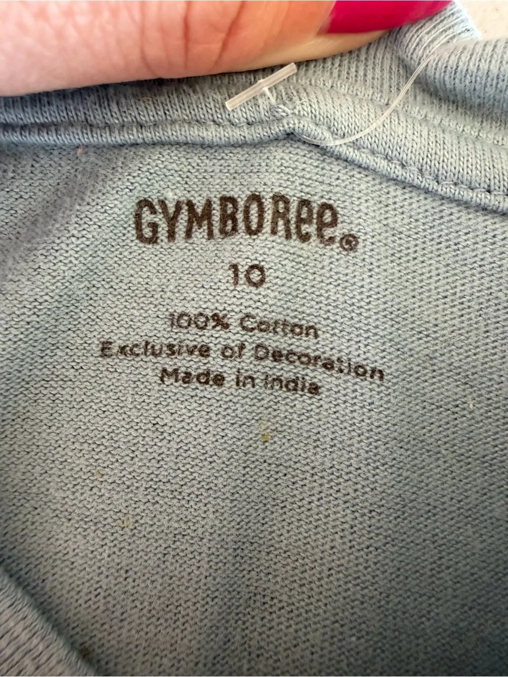 Gymboree Light Blue Long Sleeve Tee